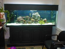 Office Tank